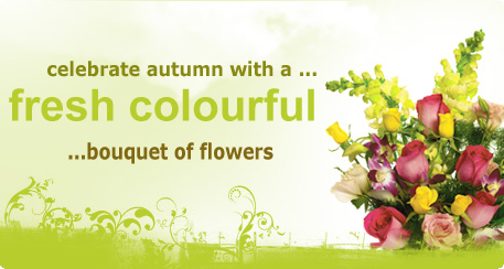 celebrate summer with a fresh colourful bouquet of flowers