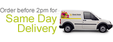 Florists Same Day Flowers Delivery in United States